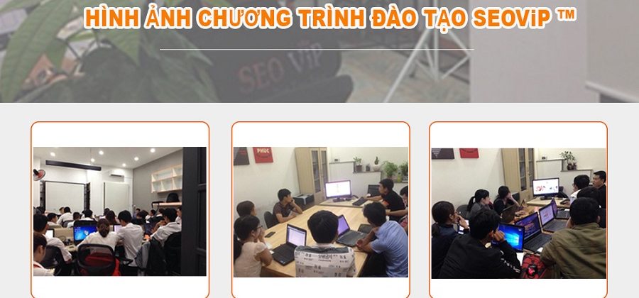 Chương trình đào tạo tại seovip