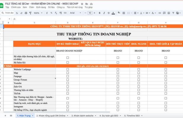 File Phân Tích Tổng Thể Dự Án SEO